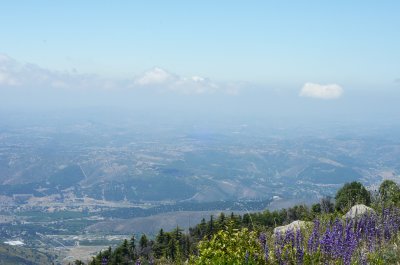 View - Palomar Mtn. State Park