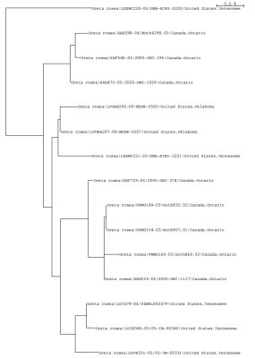 Tree using public and local data
