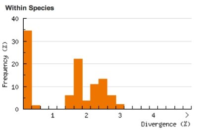 Divergence