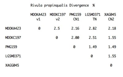Divergence