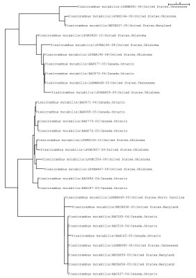 Tree using public and local data