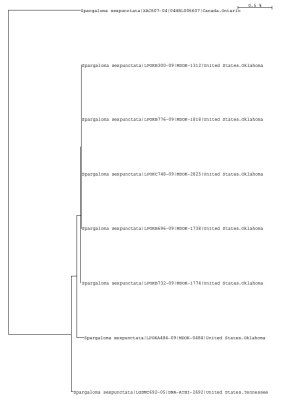 Tree using local and public data