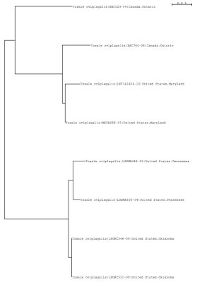 Tree using local and public data