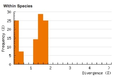 Divergence