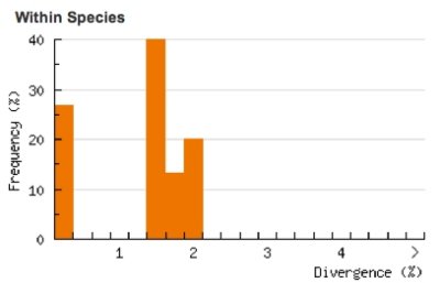 Divergence