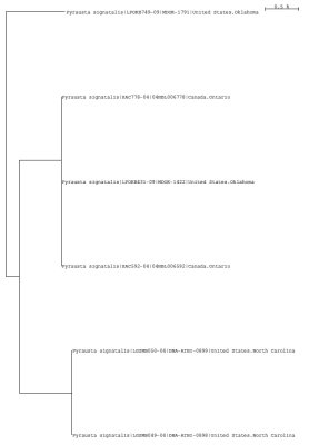 Tree using local and public data