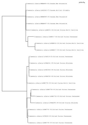 Tree using local and public data