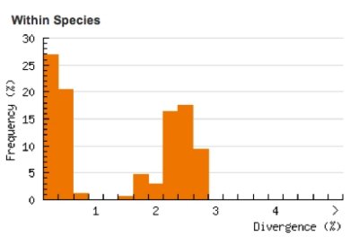 Divergence