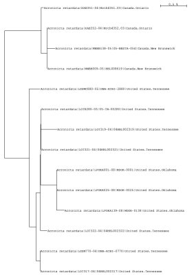 Tree using all public and local data
