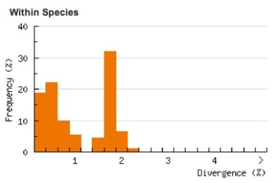 Divergence