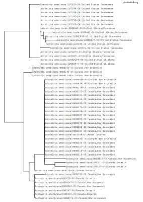 Tree using all public and local data