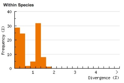 Divergence