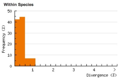 Divergence