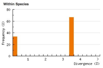 Divergence