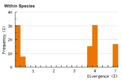 Divergence