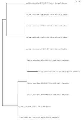 Tree using local and public data