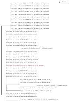 Tree using local and public data