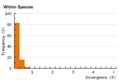 Divergence