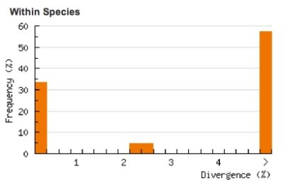 Divergence