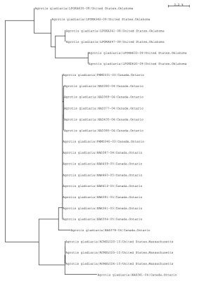 Tree using local and public data