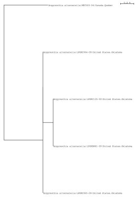 Tree using public and local data