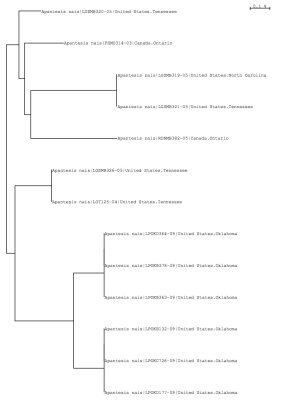 Tree using local and public data