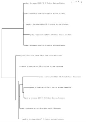 Tree using local and public data