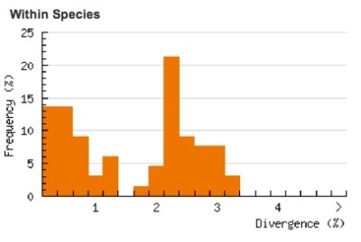 Divergence