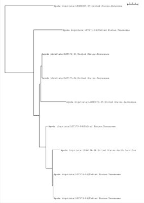 Tree using local and public data