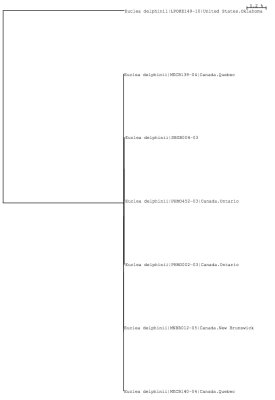 Tree using public and local data