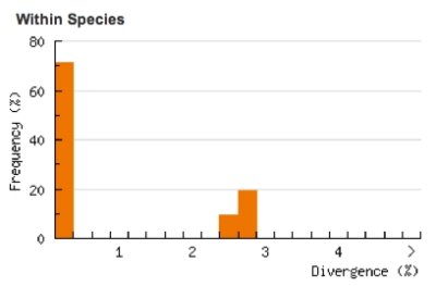 Divergence