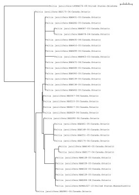 Tree using local and public data