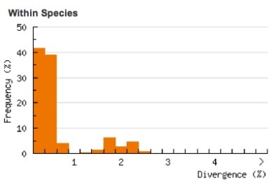Divergence