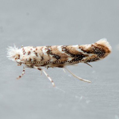 MD050412-16