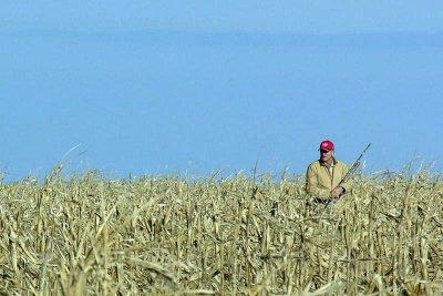 Delmar, Outstanding in His Field (with Map)