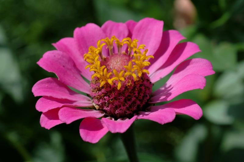 DSC_3818.jpg