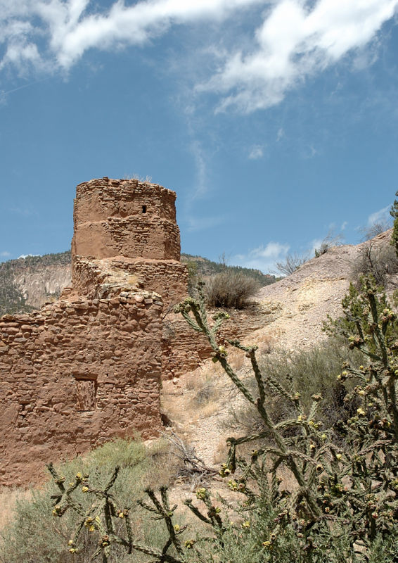 DSC_6268.jpg