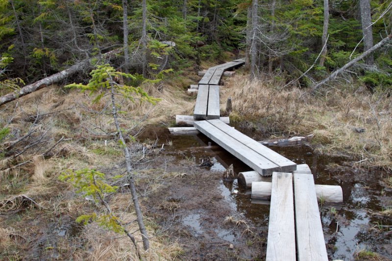 Lonesome Lake boards 1