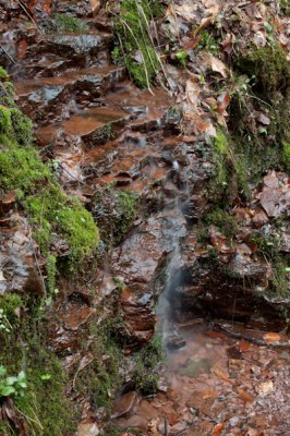 dripping over rocks 2