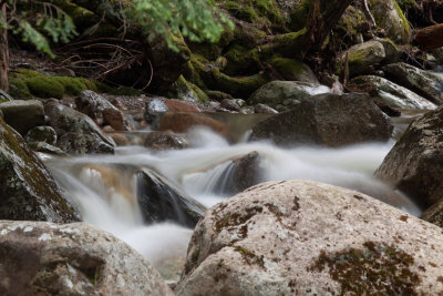 Coppermine Brook 2