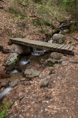 Lonesome Lake Trail