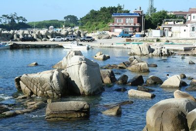 rocks in  harbor