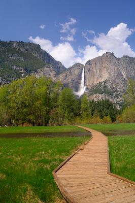 Road to Yosemite Fall
