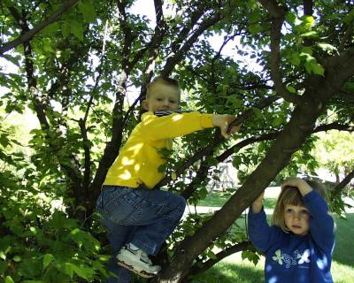 May13-2001-KidsInTree.jpg