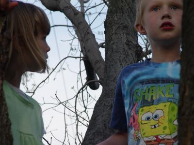 KidsInTree1.jpg