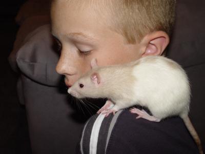 RatKatrina2.jpg