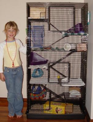 RatPalace.jpg