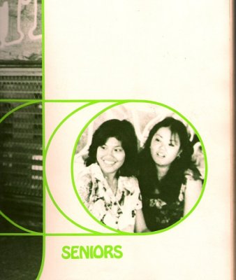 Our Yearbook - Round Up 1981