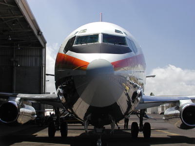 Funbird 049.jpg