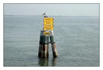 _DSC0001cc.jpg
